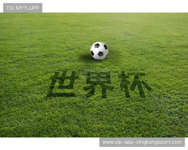 世界杯将启用防摔草皮，减少高频对抗受伤概率